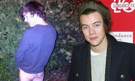 harry styles dick pic|Harry Styles Once Leaked His Own (Massive) Dick Pic,。